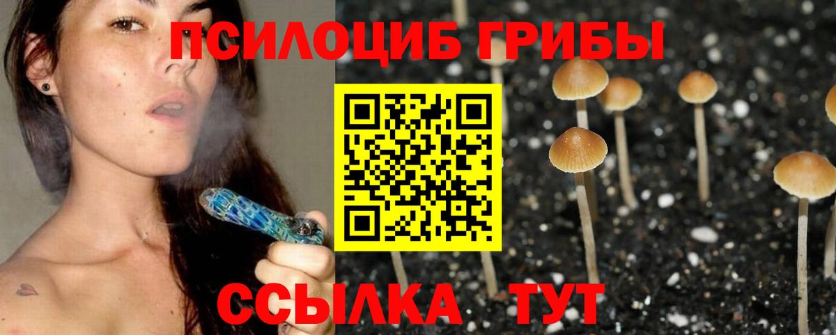 Галлюциногенные грибы Cubensis  хочу наркоту  Галлюциногенные грибы MAGIC MUSHROOMS  Карталы  Вход с VPN 